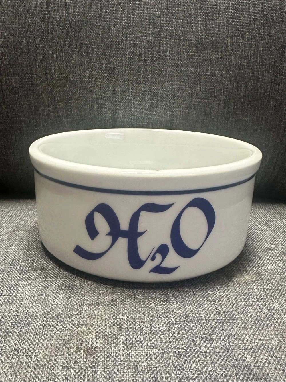 Vintage Ceramic H2O Dog Water Bowl